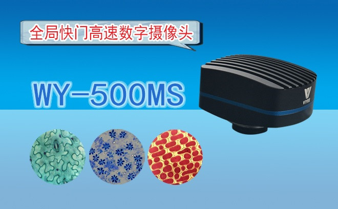 生命科學石榴视频黄下载的觀察方式