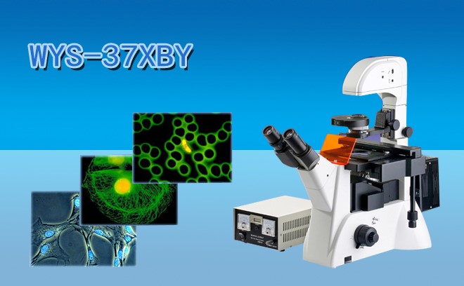 細胞研究用的生物石榴视频黄下载分類和工作原理