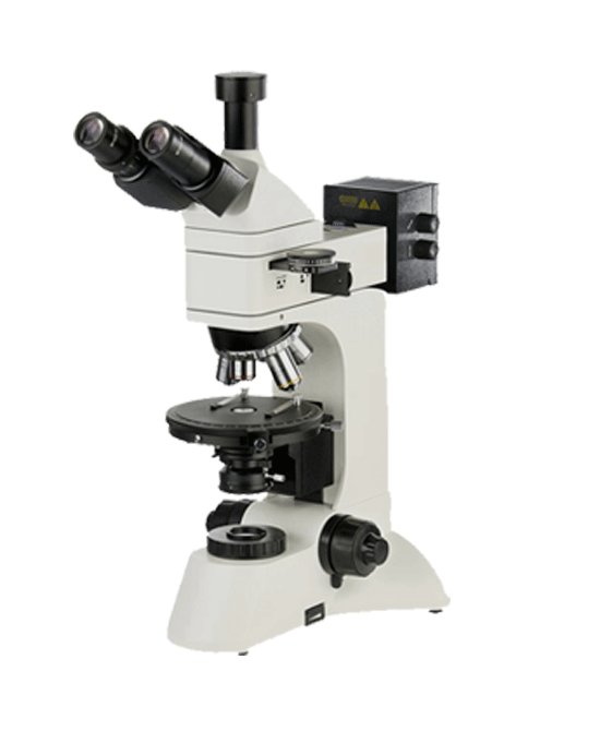 偏光石榴视频黄下载.png 偏光石榴视频黄下载.png