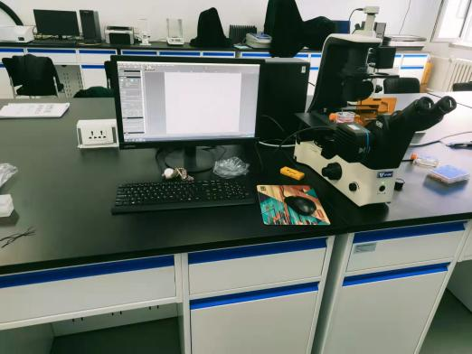 熒光石榴视频黄下载.png 熒光石榴视频黄下载.png