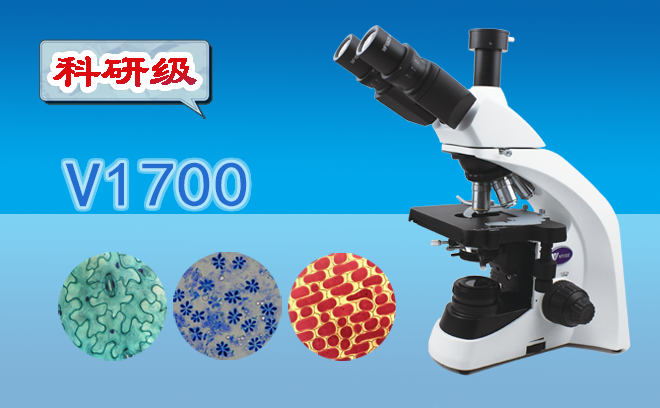 生物石榴视频黄下载的分類和使用方法是什麽呢？
