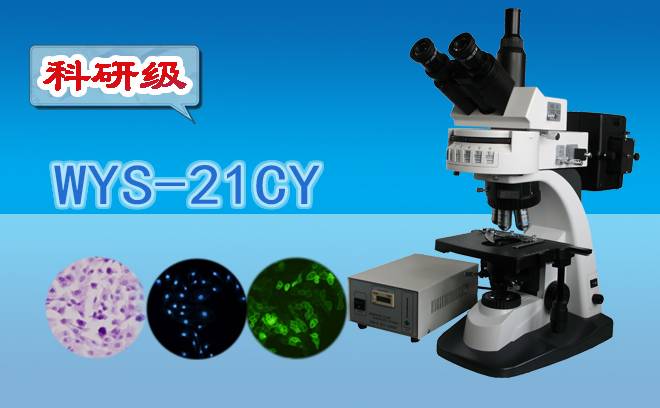熒光石榴视频黄下载技術包括哪幾種？