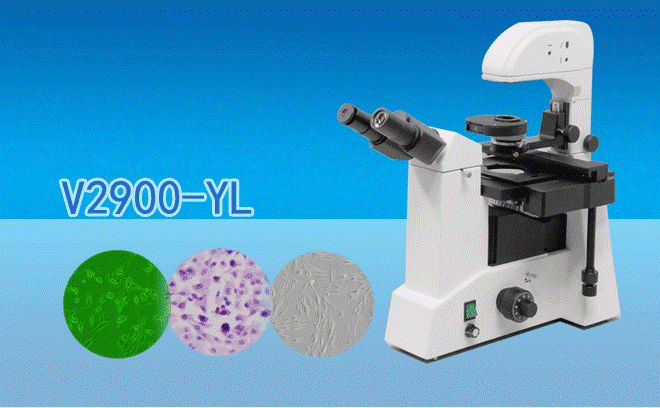 1652688641133036.png 1650119117588763.png