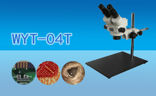 體視石榴视频黄下载.jpg 體視石榴视频黄下载.jpg