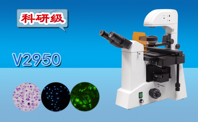 熒光石榴视频黄下载.png 熒光石榴视频黄下载.png