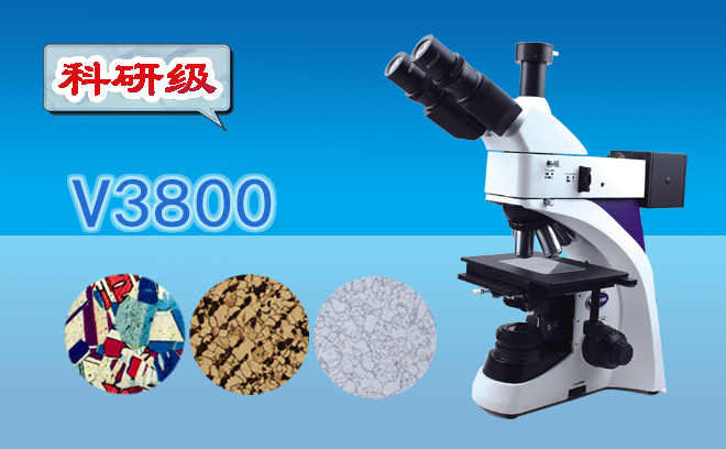 1670814995224024.png 金相石榴视频黄下载.png