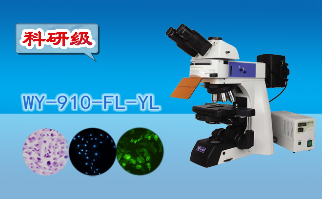 1671081533186168.png 熒光石榴视频黄下载.png