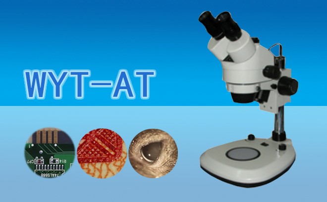 體視石榴视频黄下载使用注意事項介紹